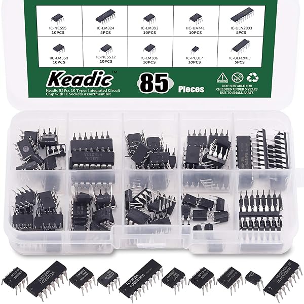 Kit 85 Puces IC - 10 Types (NE555, LM324, Etc.) Avec Boîte De Rangement
