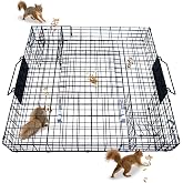 Humane Live Animal Trap for Squirrels, Chipmunks, Mice - 24.5"x24.5"x3" Extra Large Cage with High Catch Rate - Automatic Reset System for Continuous Trapping