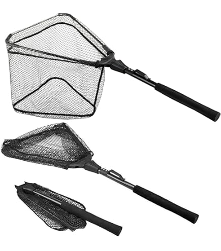 Amazon.com : Fishing Net, Foldable Collapsible Telescopic Fish Landing Net,  Durable Nylon Material Mesh Landing Net for Easy Catching or Releasing for  Trout 55cm : Sports & Outdoors