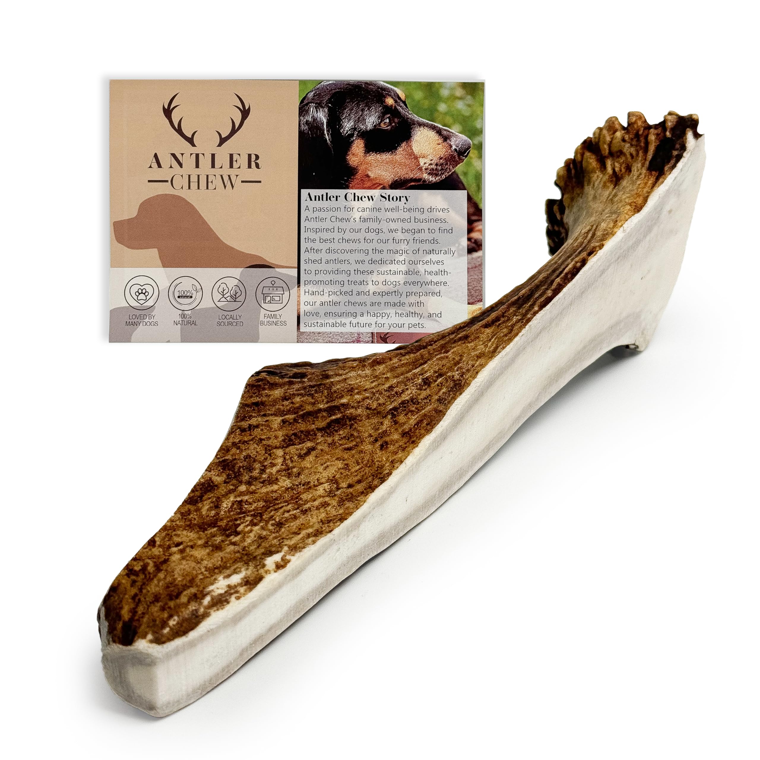 Antler Chew - XL Elk/Moose Split Antler for Dogs (180-240g, from 15cm) Indestructible Toy and Natural, Long-Lasting Treats for Dental Health, Large Dogs, Odorless