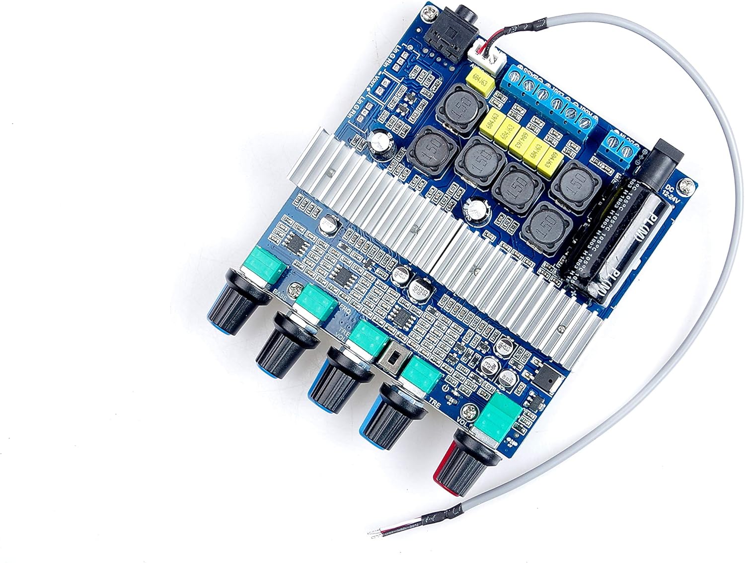 tpa3116 subwoofer 100w