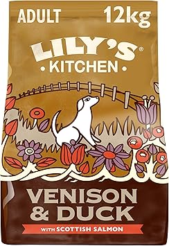 lily's kitchen dog food 12kg