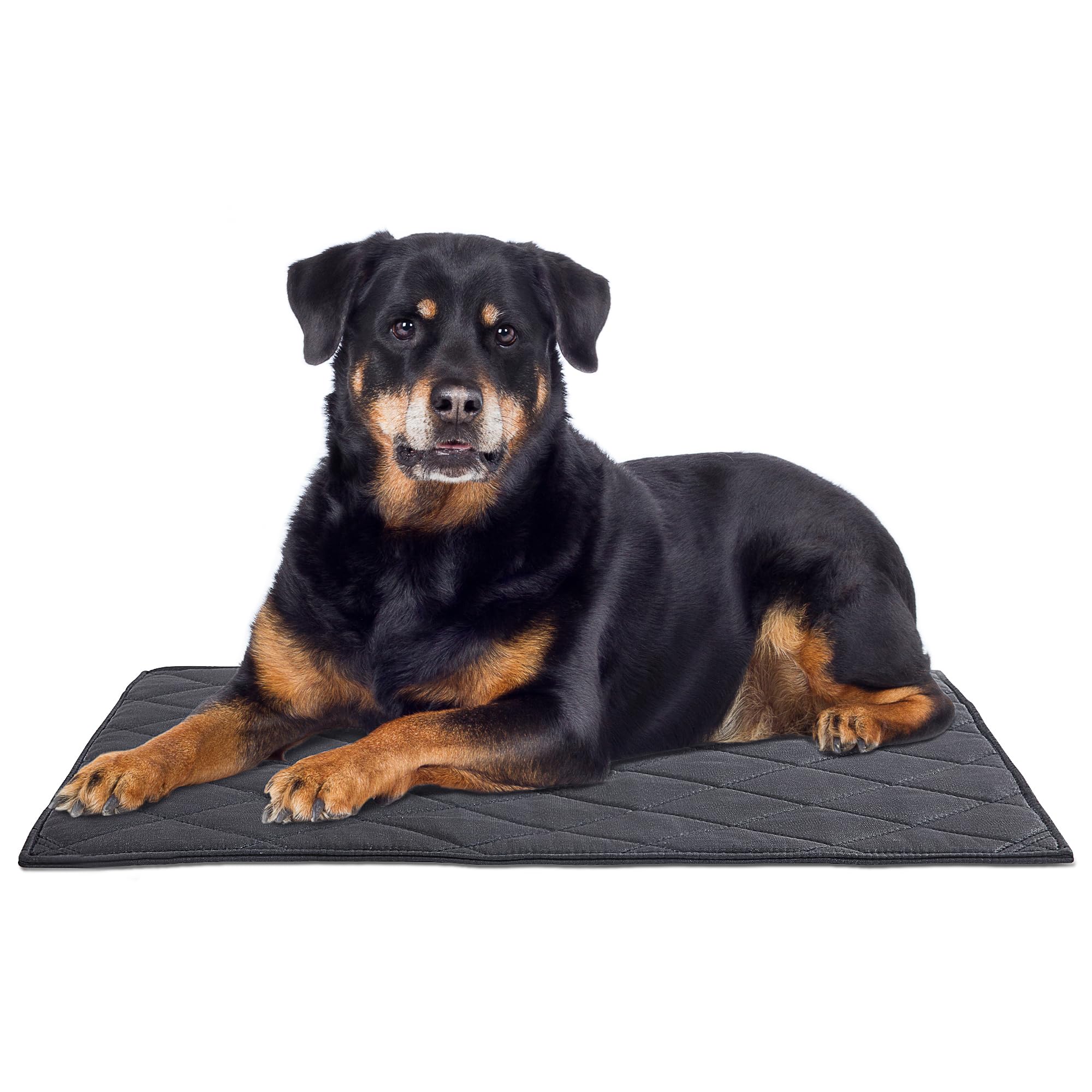 MABOZOO Durable Chew Proof Dog Bed, Tough Indestructible Dog Crate Mat for Aggressive Chewers, Washable Pet Bed for Medium/Small Dog,Waterproof Dog Bed for Kennel,Black 18x29 in