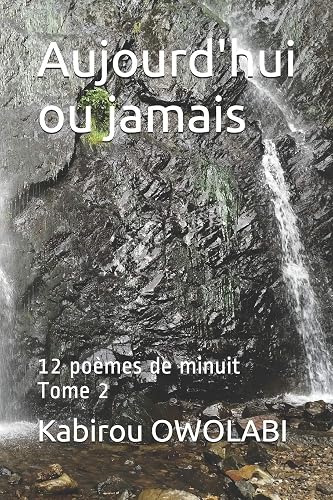 Download Aujourd'hui ou jamais: 12 poèmes de minuit Tome 2 PDF
