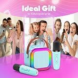 Dislocati Kids Microphone Karaoke Speaker 2 Mic Bluetooth 5.3 Lights view 5