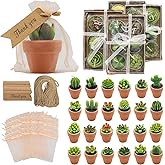 AZEAM 24 Pcs Succulent Candles Party Favors, Bulk Cactus Table Decor with Mini Terracotta Holders, Tiny Handmade Plant Tealights Candle Decoration for Shower Bridal Game Wedding Home Birthday