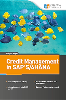 Amazoncom Sap Fixed Assets Accounting Fi Aa Ebook Jörg - 