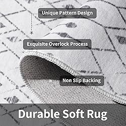 SERISSA Washable Area Rug,3x5 Soft Non Slip Indoor