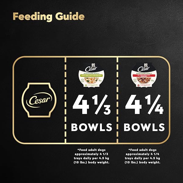 CESAR WHOLESOME BOWLS ADULT WET DOG FOOD, CHICKEN, CARROTS, BARLEY & GREEN BEANS RECIPE AND BEEF, CHICKEN, PURPLE POTATOES & CARROTS RECIPE VARIETY PACK, WET FOOD FOR DOGS, 3 OZ., 6 COUNT
