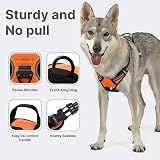 Belababy Dog Harness Front Clip No Pull Reflective Adjustable Orange L view 3