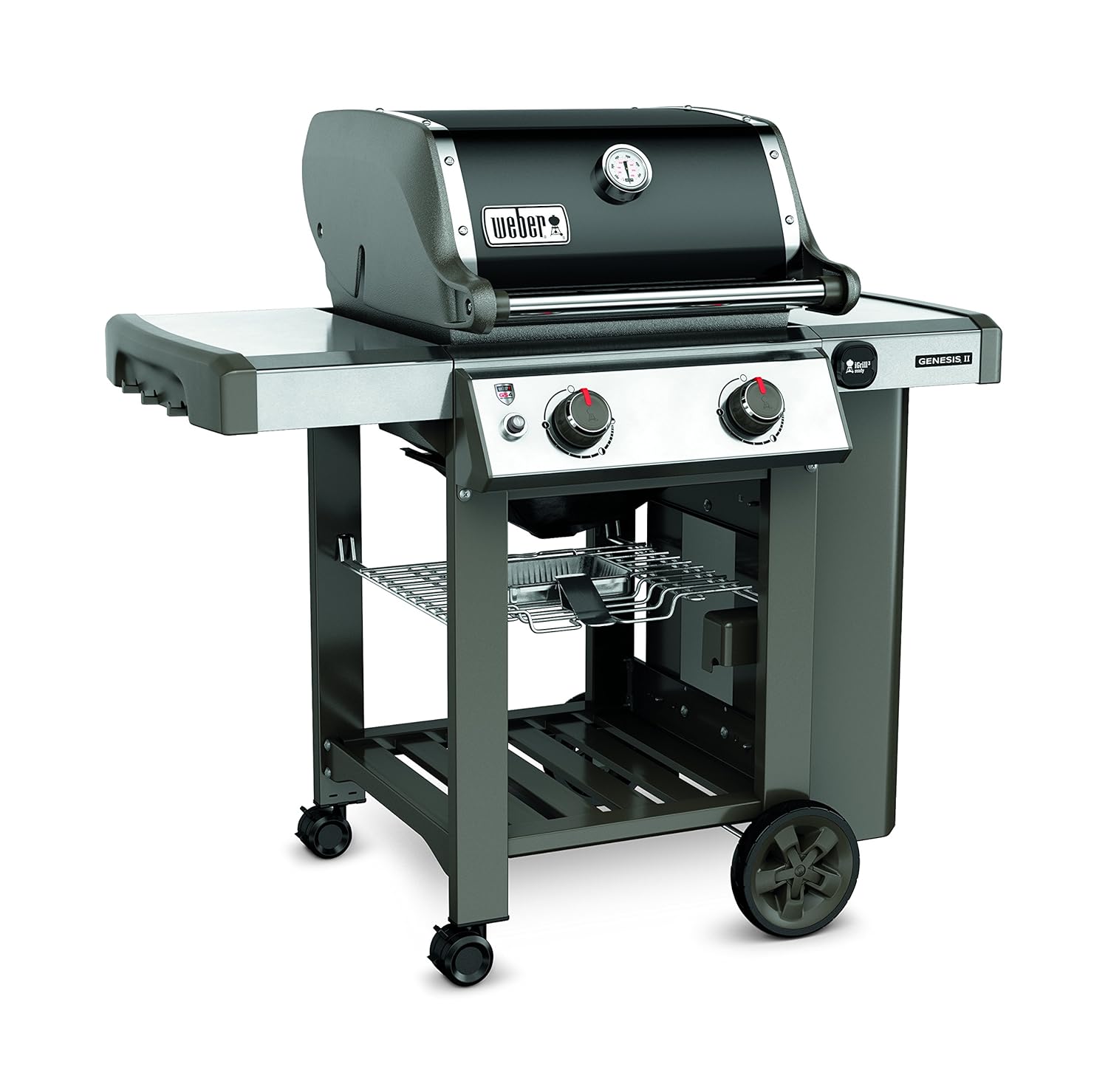 Amazon.com : Weber-Stephen Products 60010001 Genesis Ii E210 Lp Grill,  Two-Burner Black : Garden & Outdoor