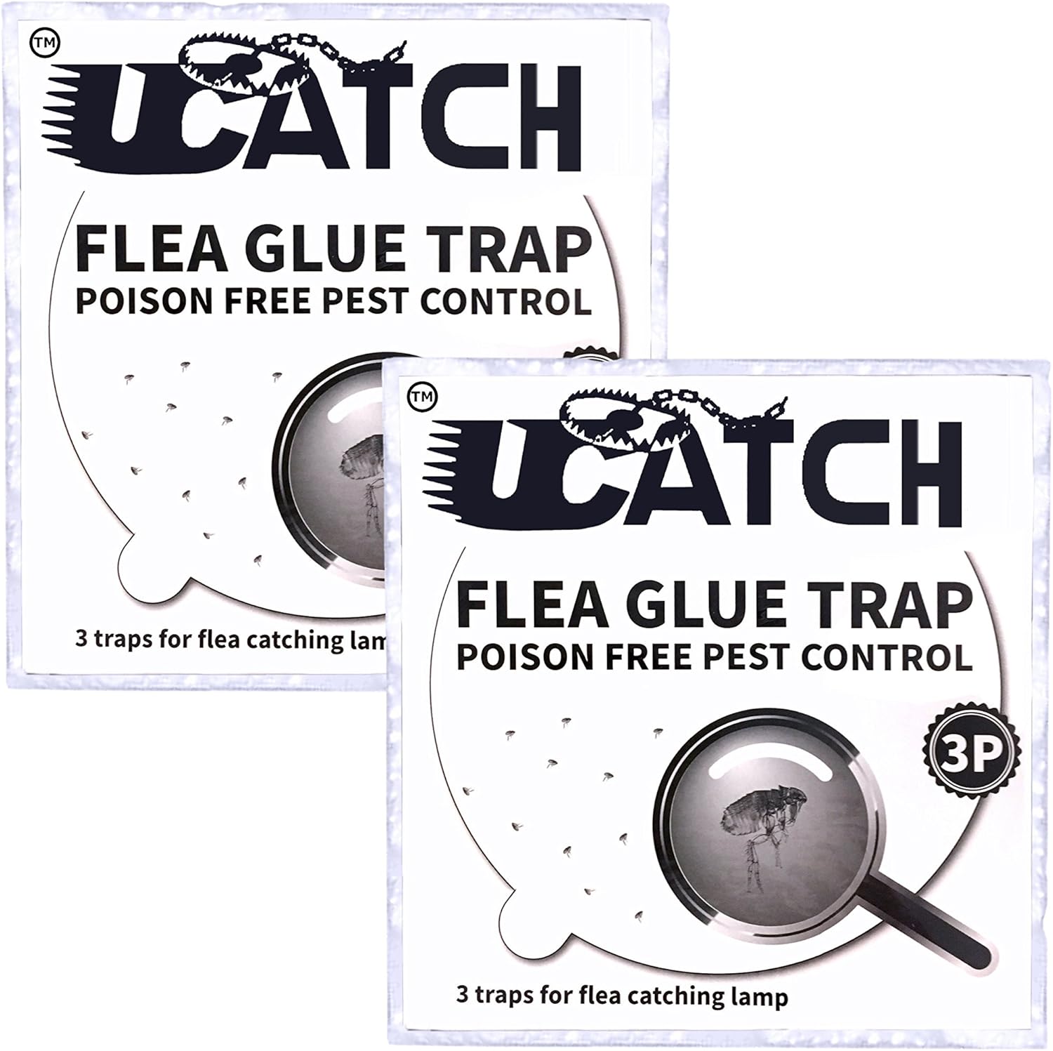 Best Home Flea Treatment Pet Safe