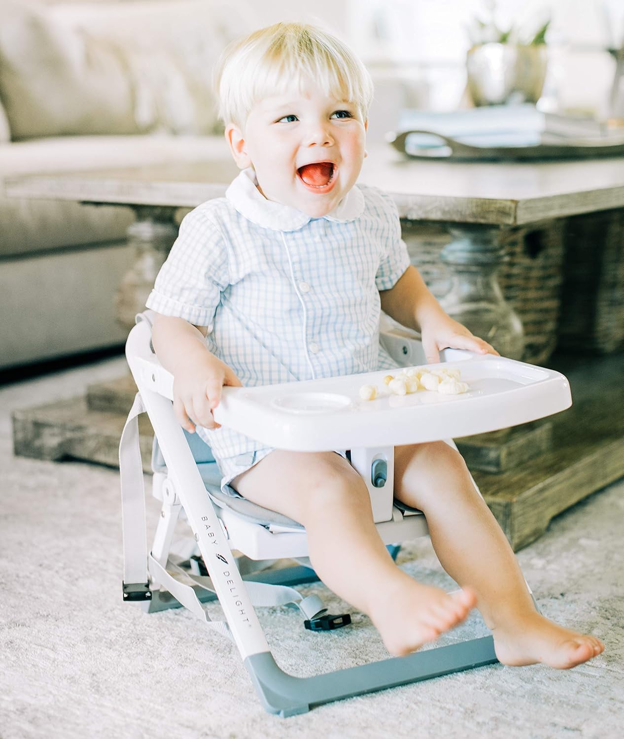 baby delight go with me