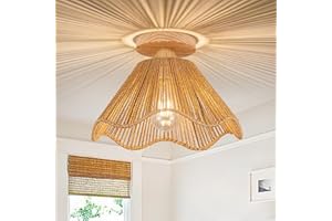 Zswanbei D12.5 Inch Boho Light Fixtures Ceiling Mount Boho Rattan Ceiling Light Flush Mount Mini Chandelier Bedroom Hallway Entryway Bathroom Nursery