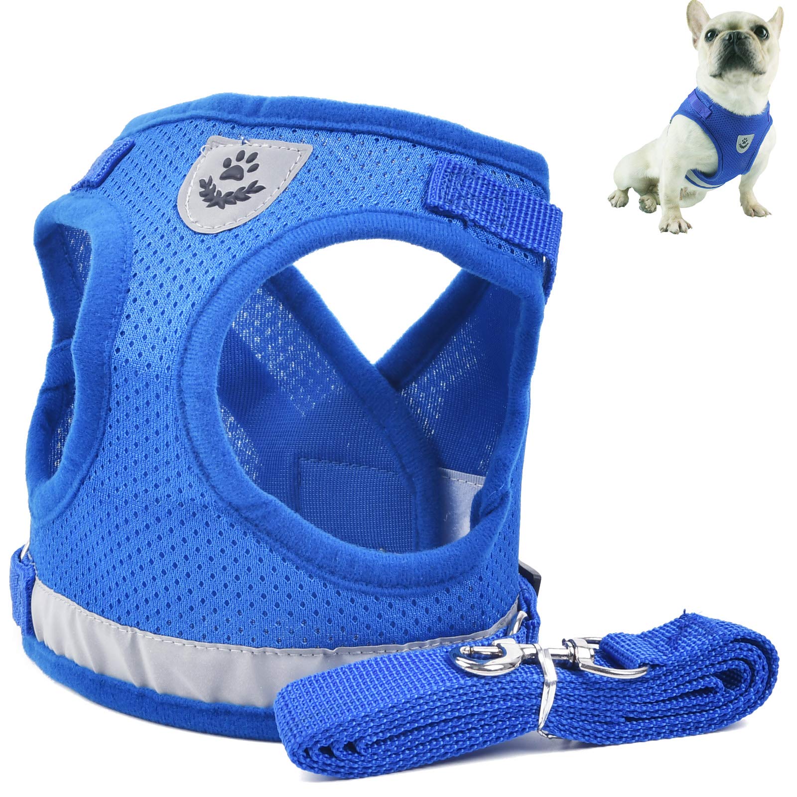 BUYGOO Adjustable Dog Harness and Lead for Small Dogs, Soft Puppy Harness with Mesh Vest and 1.2m Dog Lead with Clips(Size S, Blue)
