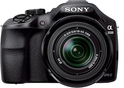 Sony Alpha 20.1 MP Mirrorless Digital Camera