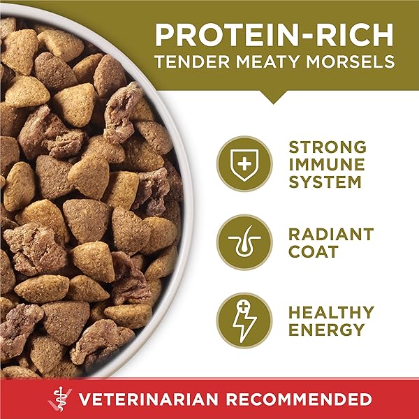 PURINA ONE DRY DOG FOOD LAMB AND RICE FORMULA – 8 LB. BAG
