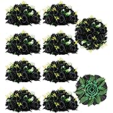 BLOSMON Flower Balls Wedding Rose Centerpieces 10 Pcs Black Fake Flowers Kissing Balls Decor Artificial Floral Arrangements Flower Bouquet of Roses Home Party Room Table DIY Decorations