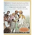 Many Thousand Gone: African Americans from Slavery to Freedom