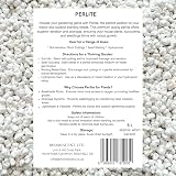 bhomescent Premium Horticultural Perlite 3–5mm 5L Fresh-Packed view 6
