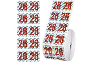 SINBANA 500 2026 Year Labels, 3/4 x 1-1/2 inch File Folder Stickers Color Coded Medical Chart Number Labels for Office Supplies (Holographic Silver)