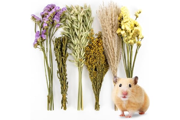 Sukh 42Pcs Hamster Sprays Natural - Sprays & Forage for Small Animals | Chew Herbs for Syrian Dwarf Hamsters & Guinea Pigs, Habitat Dry Flowers Decor, Hideout Enrichment, Cage & Bedding Accessories