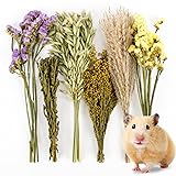 Sukh Herb Bedding Habitat Decor - Natural Flower
