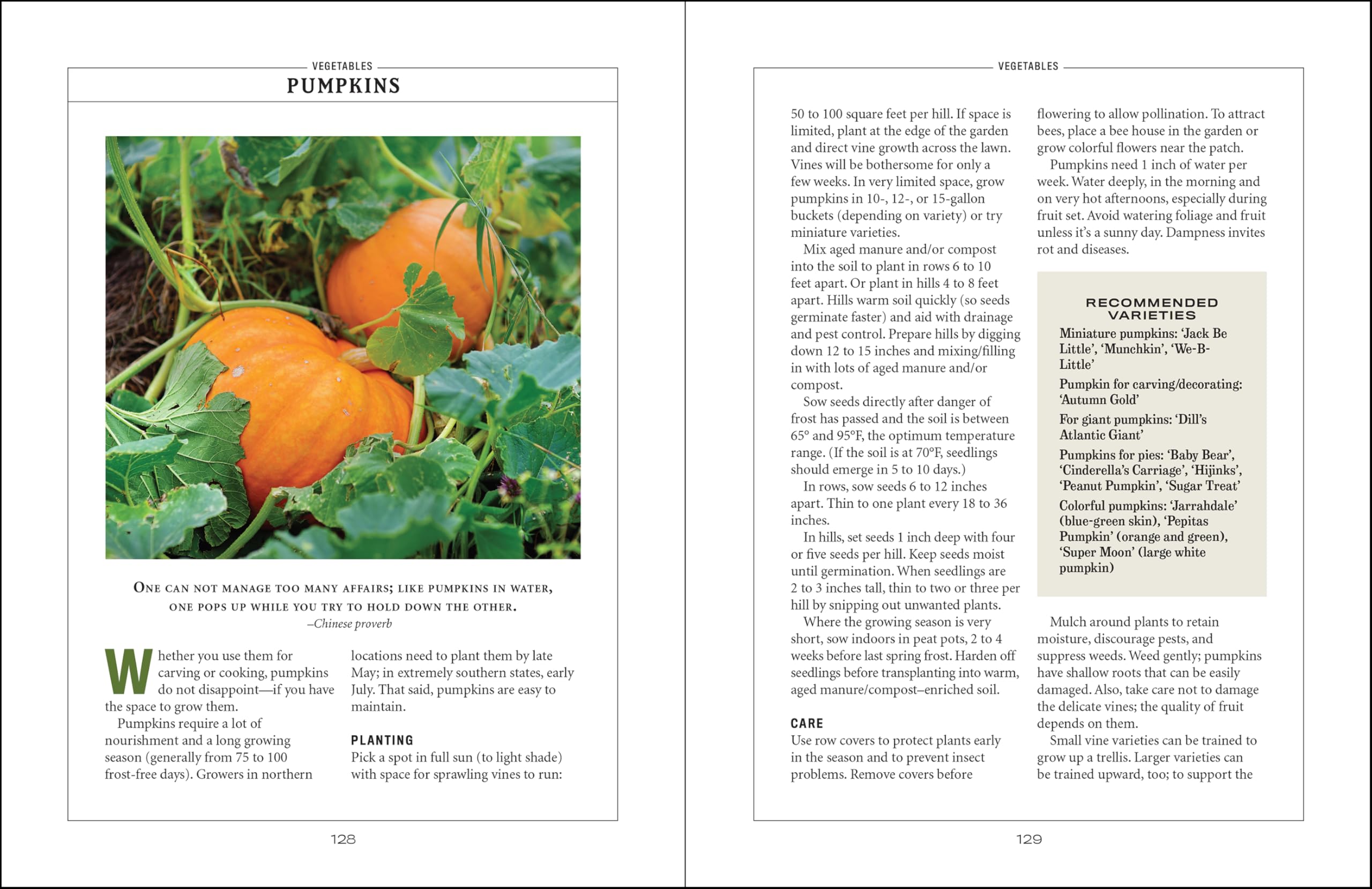The Old Farmer's Almanac Vegetable Gardener’s Handbook