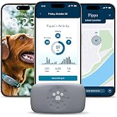 Petivity Dog GPS Tracker Powered by Purina, Waterproof Real Time Tracking GPS Dog Collar, Downloadable App, Subscription Requ