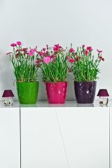 B2C Flowerpot Round Plastic Pot Ecru 18 cm Crystal Modern Decor view 8