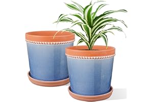 KERUITA 6 Inch Ceramic Plant Pot with Drainage and Saucer, Modern Plant Pots, Ceramic Planters for Indoor Plants,Set of 2-Crackle Glaze Blue