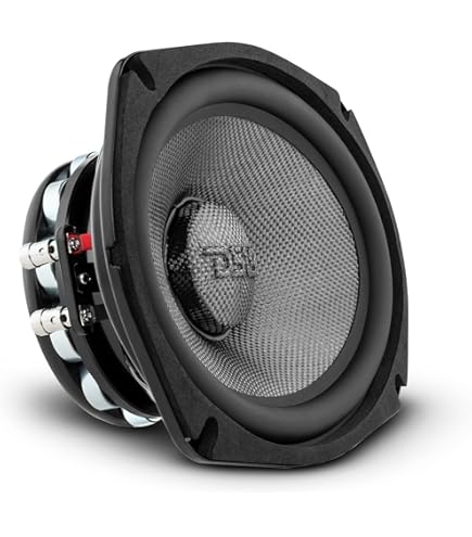 Amazon.com: Cerwin Vega ST69CX 6