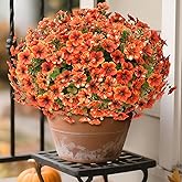 Artificial Flowers for Outdoor Fall Decoration-Faux Flower Petunia with Eucalyptus Fake Plants Boxwood for Front Door Planter Home Garden Porch Patio Thanksgiving Autumn Decor-12 Bundles (Orange)