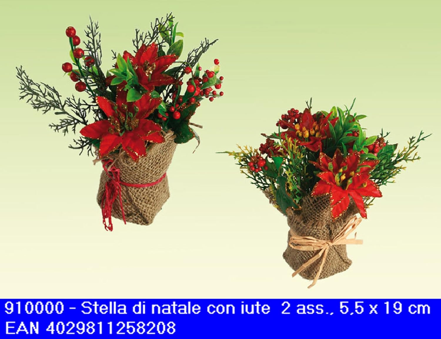 Stella Di Natale Morta.Sacchetto Juta Composizione Con Stella Di Natale E Vischio Amazon It Casa E Cucina