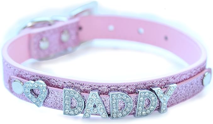 schnauzer and yorkie