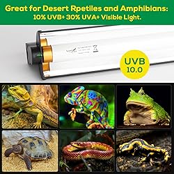 T5 UVB Reptile Light Fixture HO UVB Bulb Lighting
