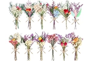 WGXX 10/12/24/36 Pack Mini Dried Flowers for Vase Wedding Various Mini Bouquet Dried Small Wildflowers Natural Flowers Bulk for Crafts DIY Decor (12, Romantic Colour)