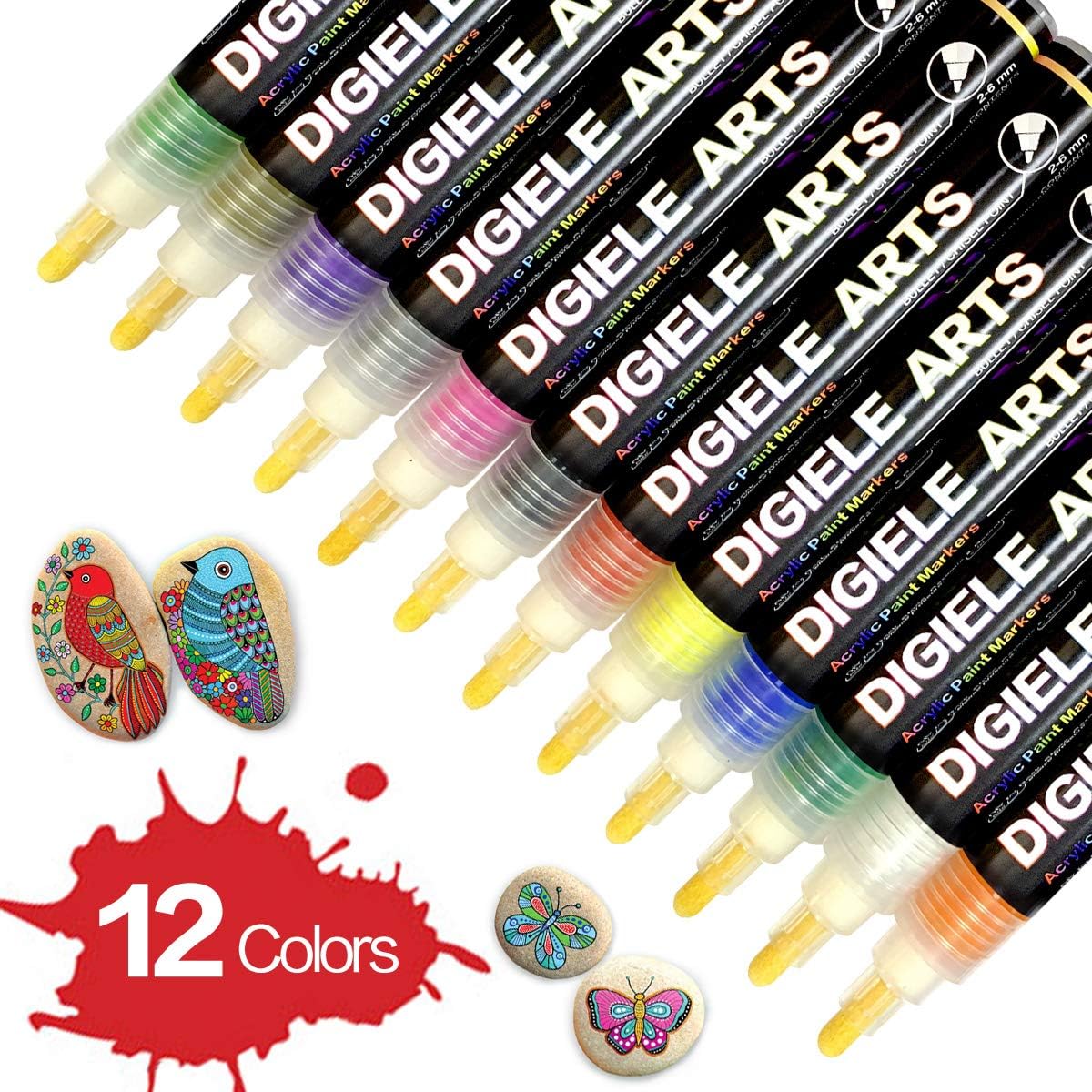 DIGIELE Paint Pens for Rock Painting 12pcs Waterproof Pens for Pebble Painting & Stone Art Drawing, Round or Chisel Tip
