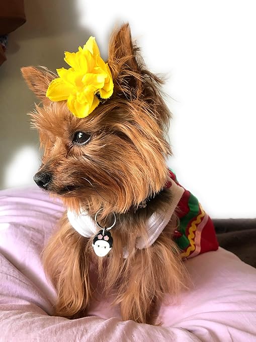 frida dog collar