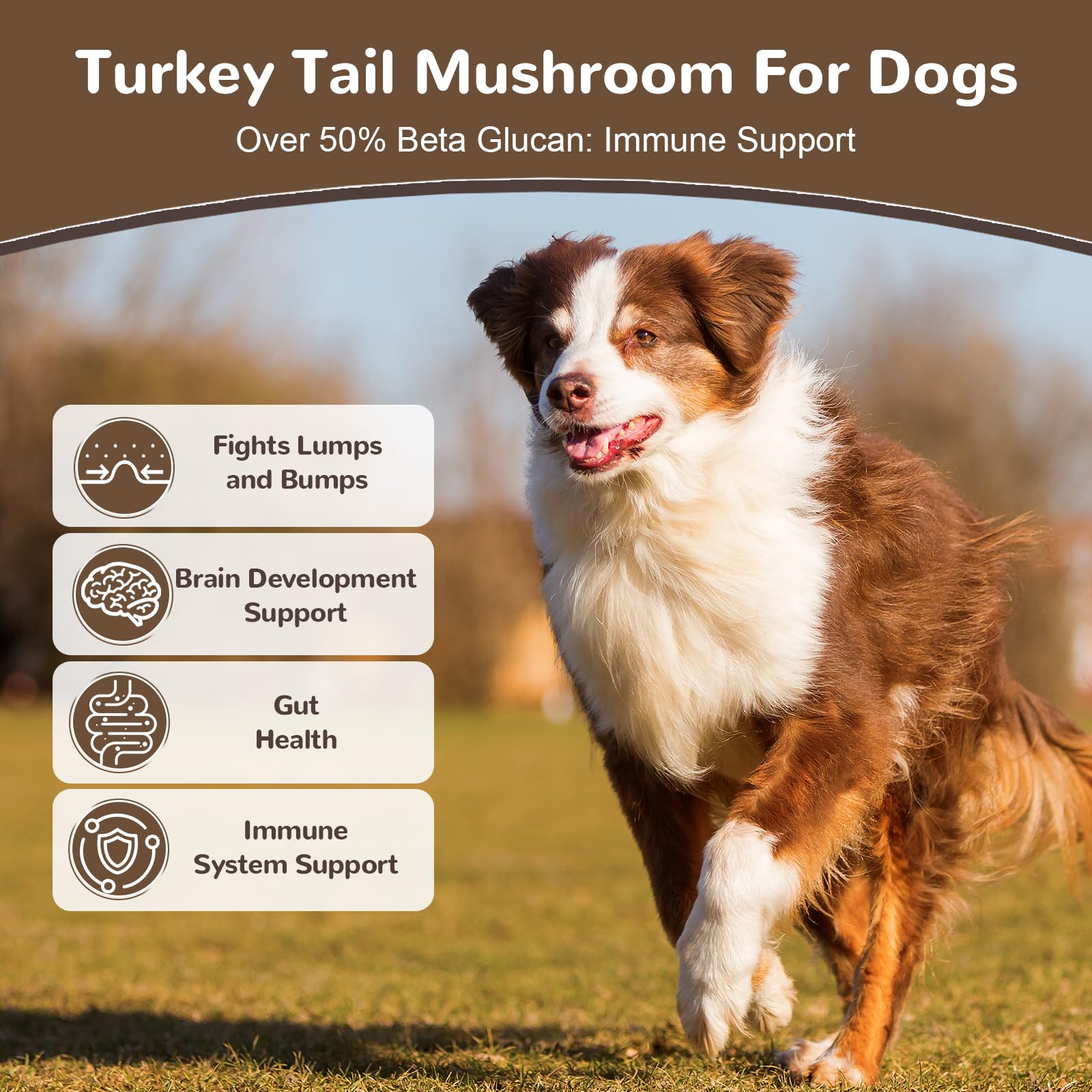 Turkey Tail Mushroom Powder for Dogs, Organic 10 Mushroom Blend for Lipoma Lumps and Bumps, Dog & Cat Herbal Supplements Probiotic with 50% β-Glucan, Joint Gut Immune Skin Support-45 Day Supply