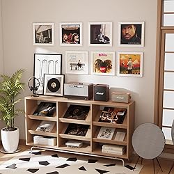 Emfogo 4 Pack Vinyl Record Frame for the