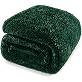 Whale Flotilla Emerald Green Queen Size Blanket for Bed, 300GSM Soft Warm Fleece Fabric, Decorative Lightweight Plush Fluffy Blankets for All Season, 90x90 Inch