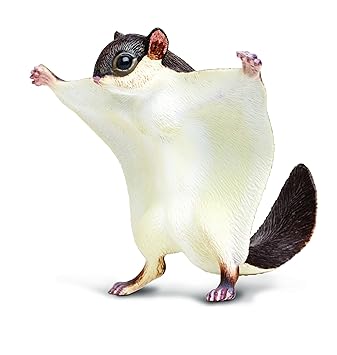 flying squirrel pet price