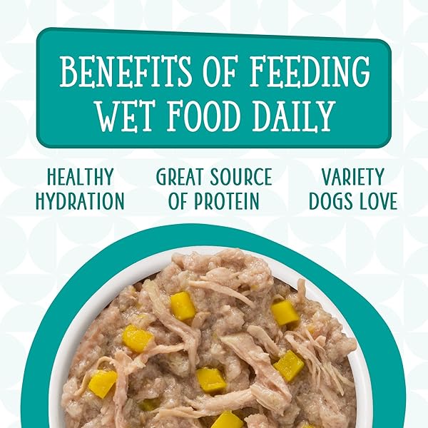 WERUVA DOGS IN THE KITCHEN, FUNK IN THE TRUNK WITH CHICKEN BREAST & PUMPKIN AU JUS DOG FOOD, 2.8OZ POUCH (PACK OF 12)
