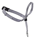 PetSafe Gentle Leader Head Collar with Training DVD, MEDIUM 25-60 LBS., SILVER