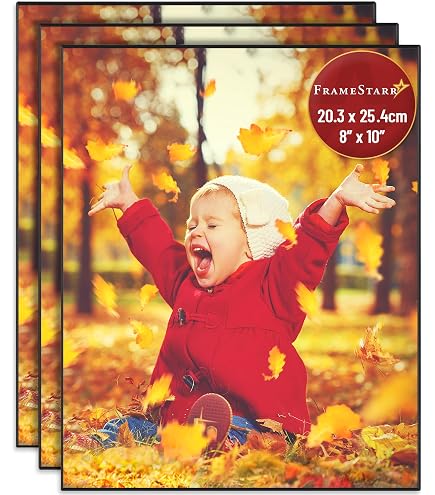 Amazon.com - MCS 8x10 Inch Format Frame, Black (12441) - Single Frames
