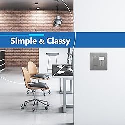 LIDER Matte Finish Double Decorator Switch