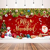Amazon.com: Feliz Navidad Christmas Decorations, Feliz Navidad ...