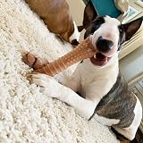 Nylabone Dura Chew Extreme Bacon Flavour XL Nylon Dog Chew Toy view 4