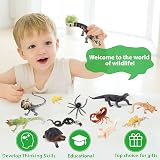 toymany 12PC Reptile Animal Figurines Set Cold Blooded Amphibians Jungle Lizard view 7